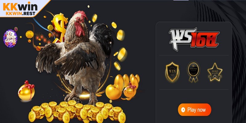 Môi trường giải trí an toàn tại sân chơi đá gà KKWIN