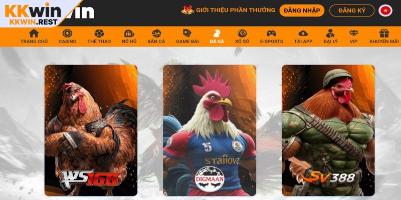 KKWIN mang đến trải nghiệm xem đá gà trực tiếp từ trường gà Philippines